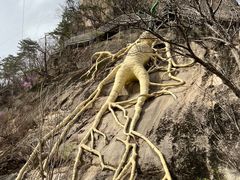 -丹东天桥沟景区