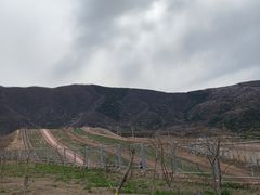 -北京西山滑雪场