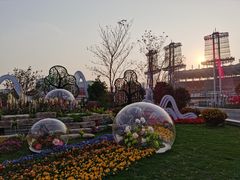 -海心沙亚运公园