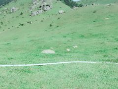 -大姆山草场