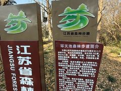 -南京市无想山景区