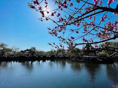 -无锡蠡湖国家湿地公园-蠡园