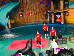 -烟台海昌鲸鲨海洋公园