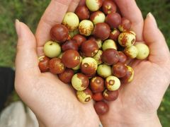 -野鸭湖国家湿地公园