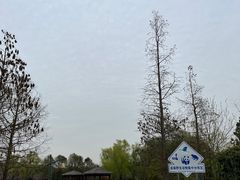 -同里国家湿地公园