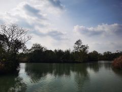 -西溪国家湿地公园