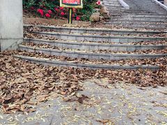 -山顶顶概念四川菜(黄埔大道店)