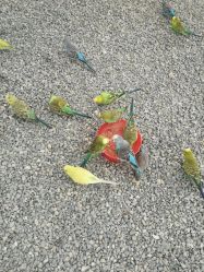 -萌宠亲子动物乐园(槐房万达店)