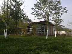 -桤木河湿地公园