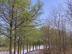 -上海海湾国家森林公园