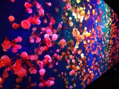 -成都浩海立方海洋公园