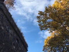 -芬兰堡