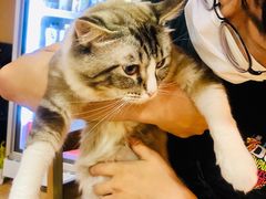 -白兔子密室(长寿路店)