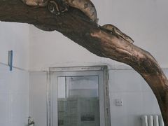 -保定市动物园