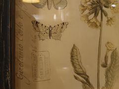 -安琳acKONA咖啡(市南店)