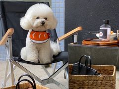 -灶咖KITCHEN