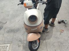 -绿源电动车(普陀专卖店)