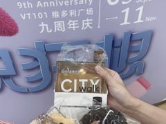 -VT101维多利广场