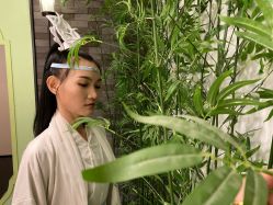 -盘子女人坊古装写真摄影(天津总店)