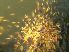 -沂蒙云瀑洞天景区