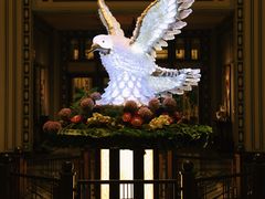 -上海和平饭店 Fairmont Peace Hotel