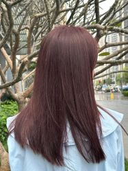 -潘多拉Hairsalon