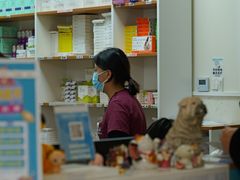 -美联众合动物医院·24h转诊中心
