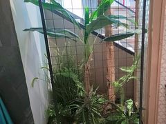 -丝宴·凤城印象·西北特色菜(彩虹湾店)