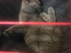 -第三空间·趣味桌游·轰趴.室内CS.剧本杀(大武汉1911店)