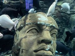 -成都浩海立方海洋公园