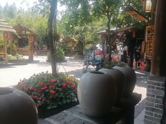 -青城甲(青城山店)