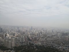 -兰山公园