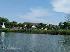 -杭州湾海上花田景区