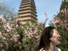 -大慈恩寺(大雁塔)