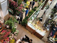 -双季花艺园艺市场(浦东店)
