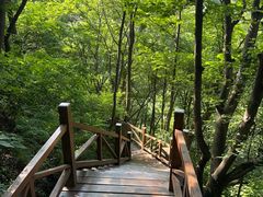 -大岭沟猕猴桃谷风景区