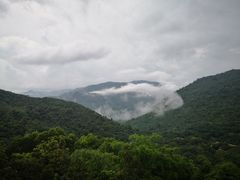 -呀诺达热带雨林