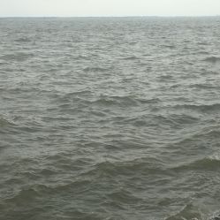 -水八仙生态园