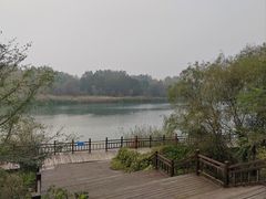 -淇河国家湿地公园