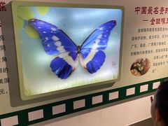 -上海昆虫博物馆