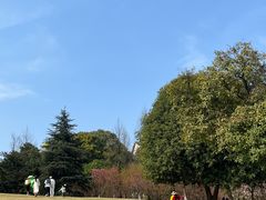 -南山植物园