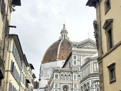 -圣母百花大教堂穹顶