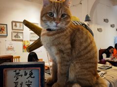 -懒鱼时光馆(沙坪坝店)