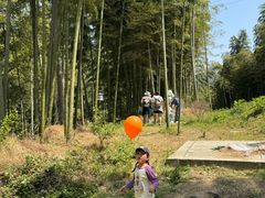 -东明山森林公园