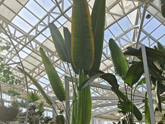 -石家庄市植物园