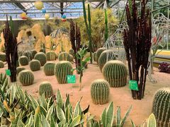 -南宫五洲植物乐园