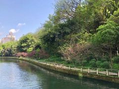 -重庆彩云湖湿地公园