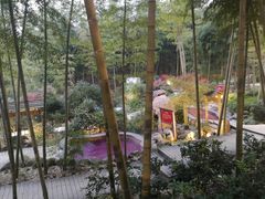 -江南天池高山汤泉城