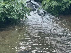 -重庆彩云湖湿地公园