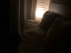 -SABAI THAI SPA泰式按摩体验馆(北城天街店)